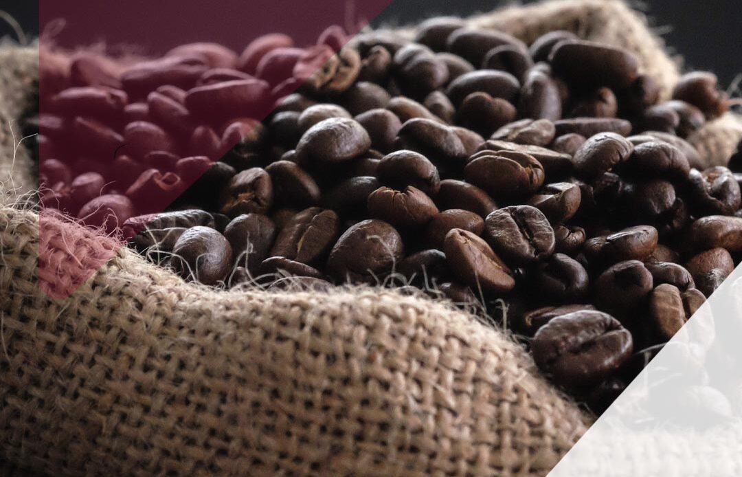 pm logistica exportação de café